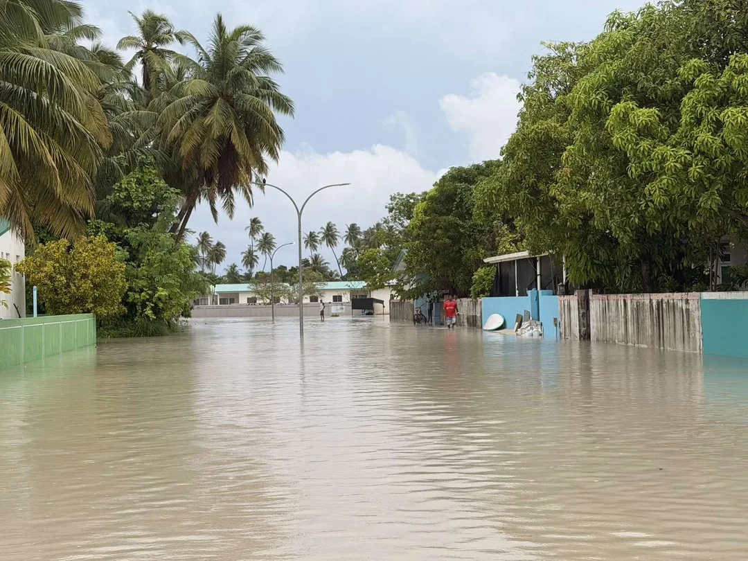 A residential road under brown floodwater between walled houses and palm trees, with two people wading in the distance.